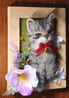 羊毛猫